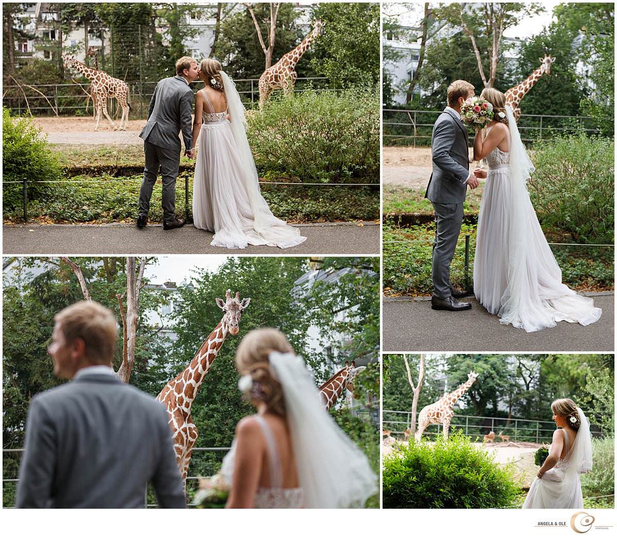 Brautpaar bei den Giraffen